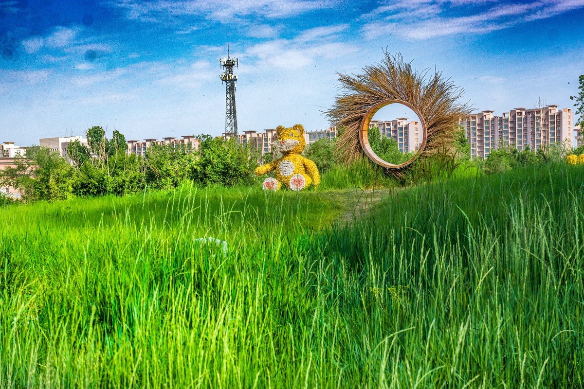 小草公园 草的世界