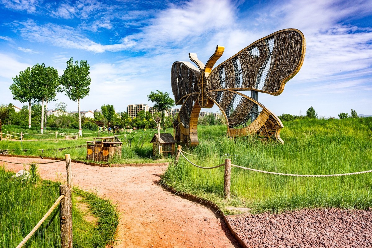 小草公园 草的世界