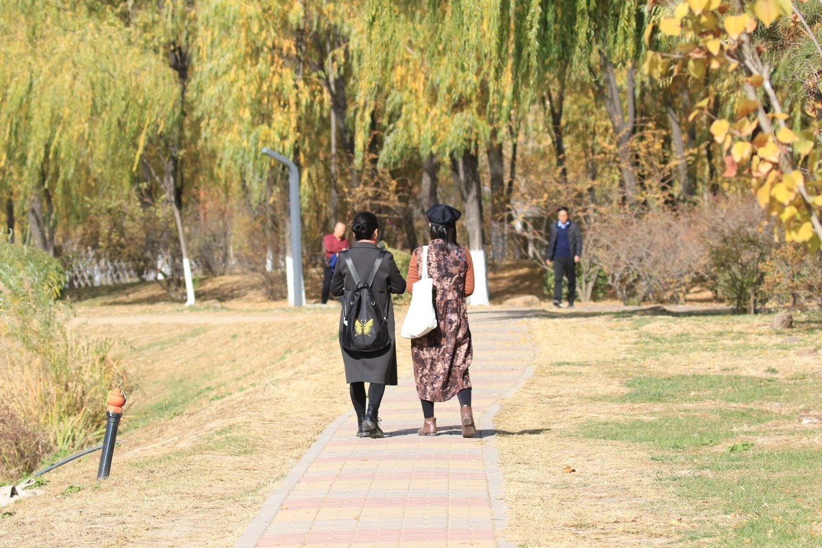 滨河湿地公园随拍