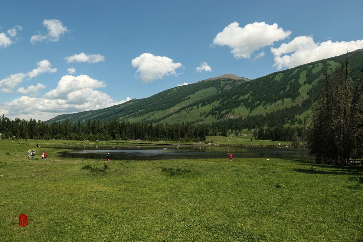 新疆游拍-喀纳斯2