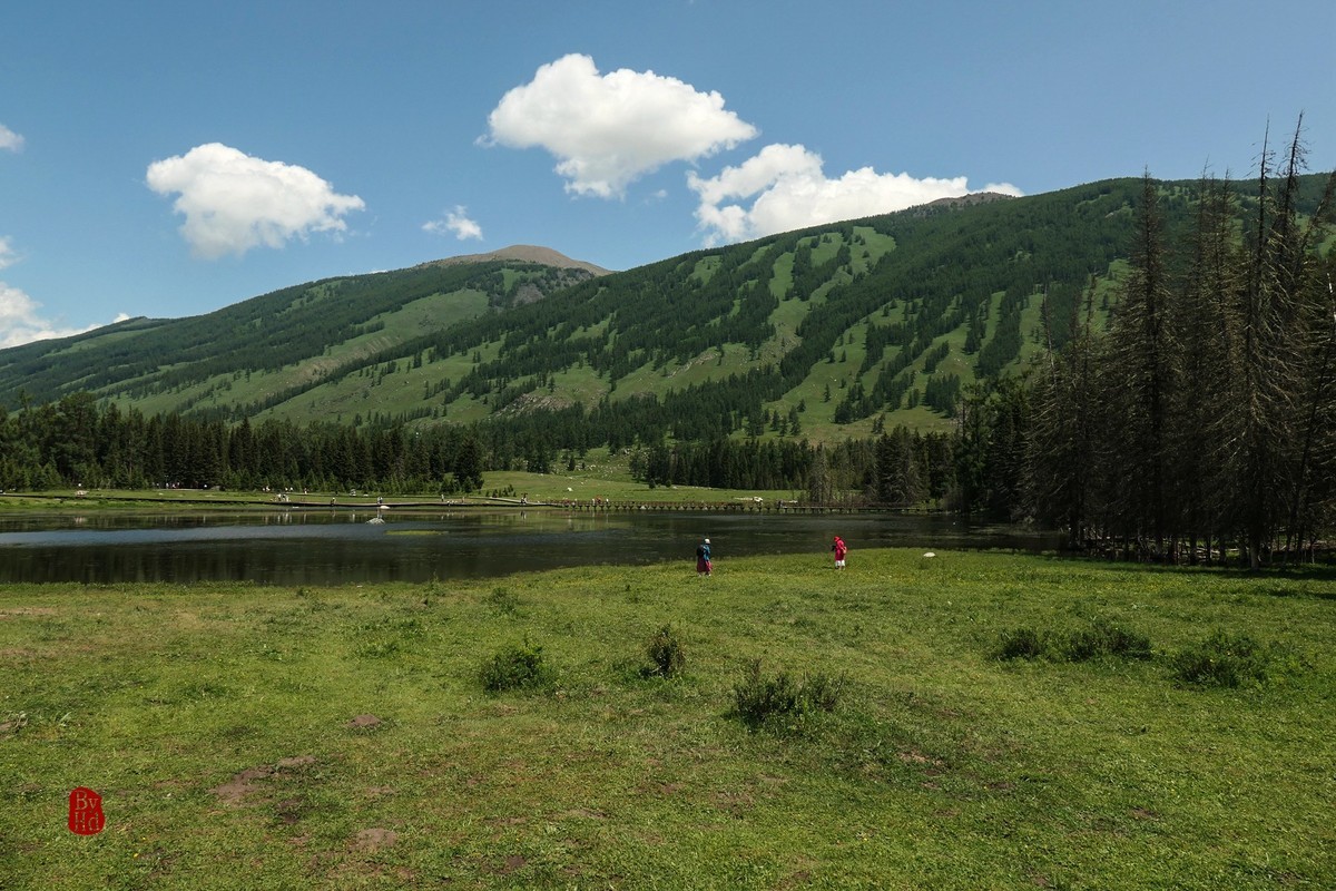 新疆游拍-喀纳斯2