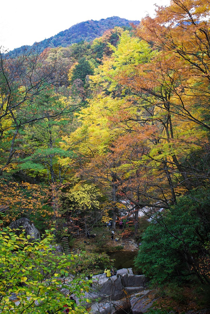 层林尽染红叶时，醉美光雾山