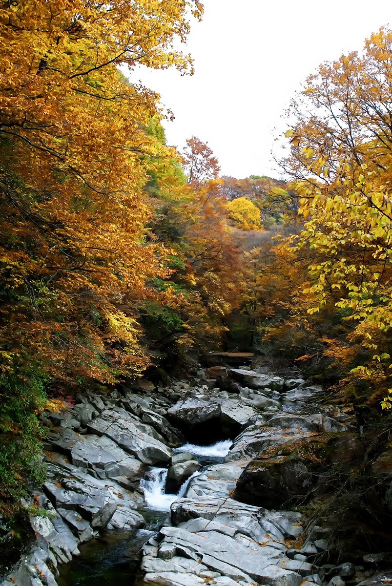 层林尽染红叶时，醉美光雾山