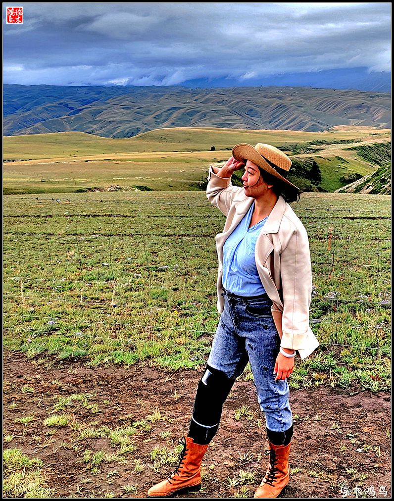 【魅力新疆行】22.登上喀拉峻大草原