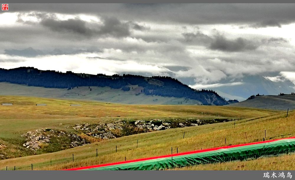 【魅力新疆行】22.登上喀拉峻大草原