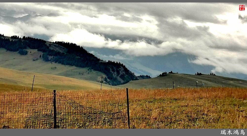 【魅力新疆行】22.登上喀拉峻大草原