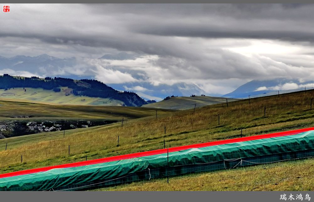 【魅力新疆行】22.登上喀拉峻大草原