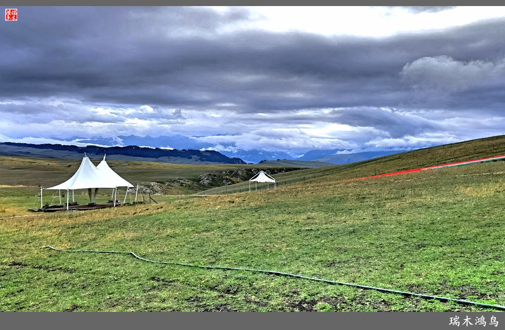 【魅力新疆行】22.登上喀拉峻大草原