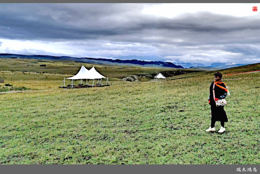 【魅力新疆行】22.登上喀拉峻大草原