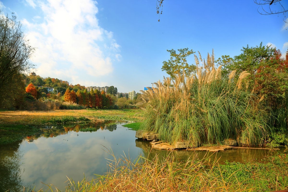 贵阳湿地公园