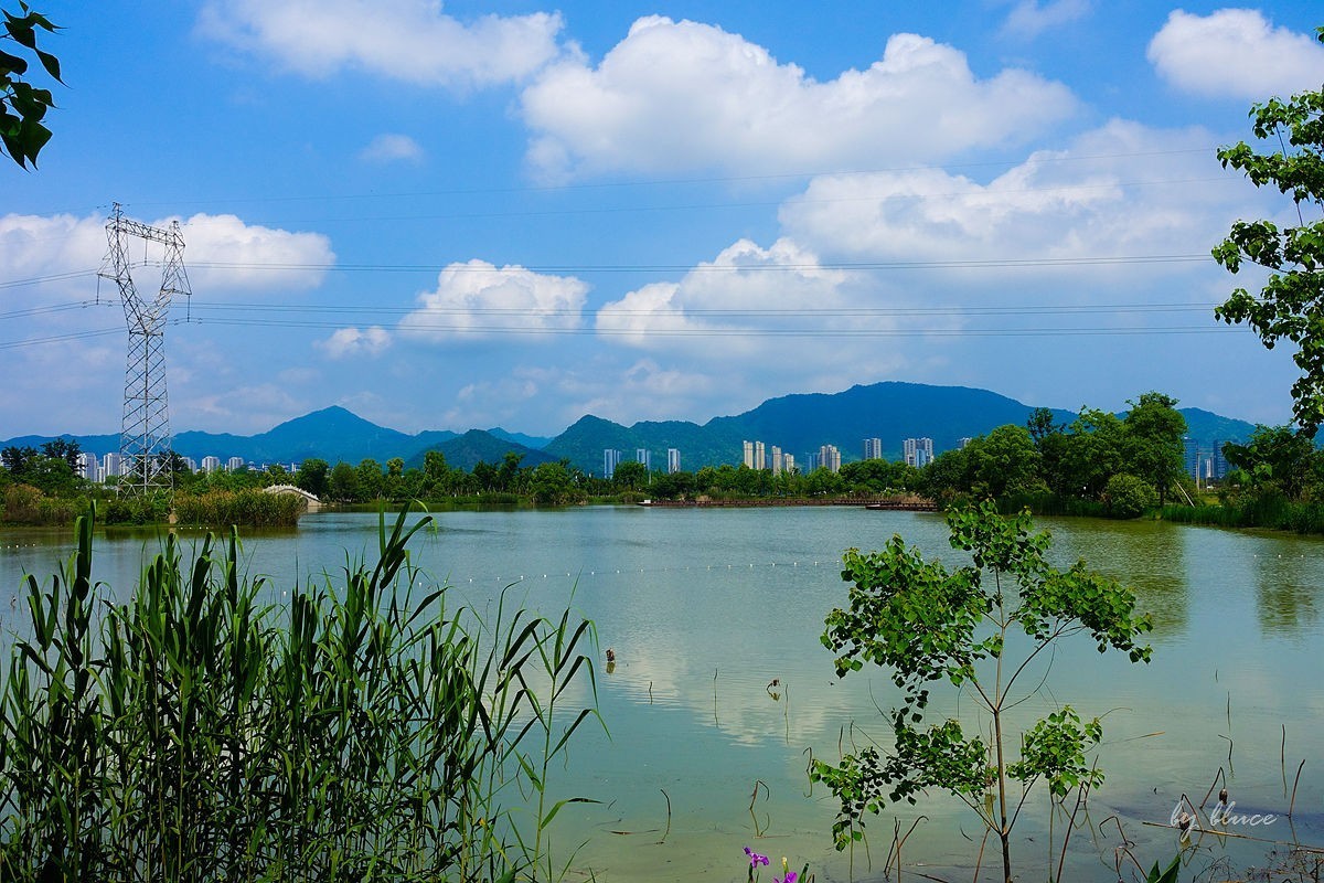 杭州富阳----阳陂湖（1）