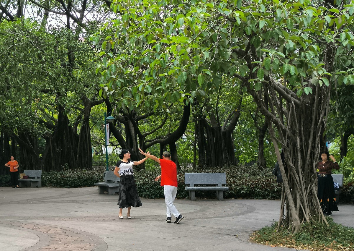 爱摄者。。。。。。