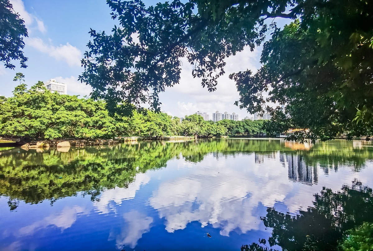 深圳荔枝公园掠影