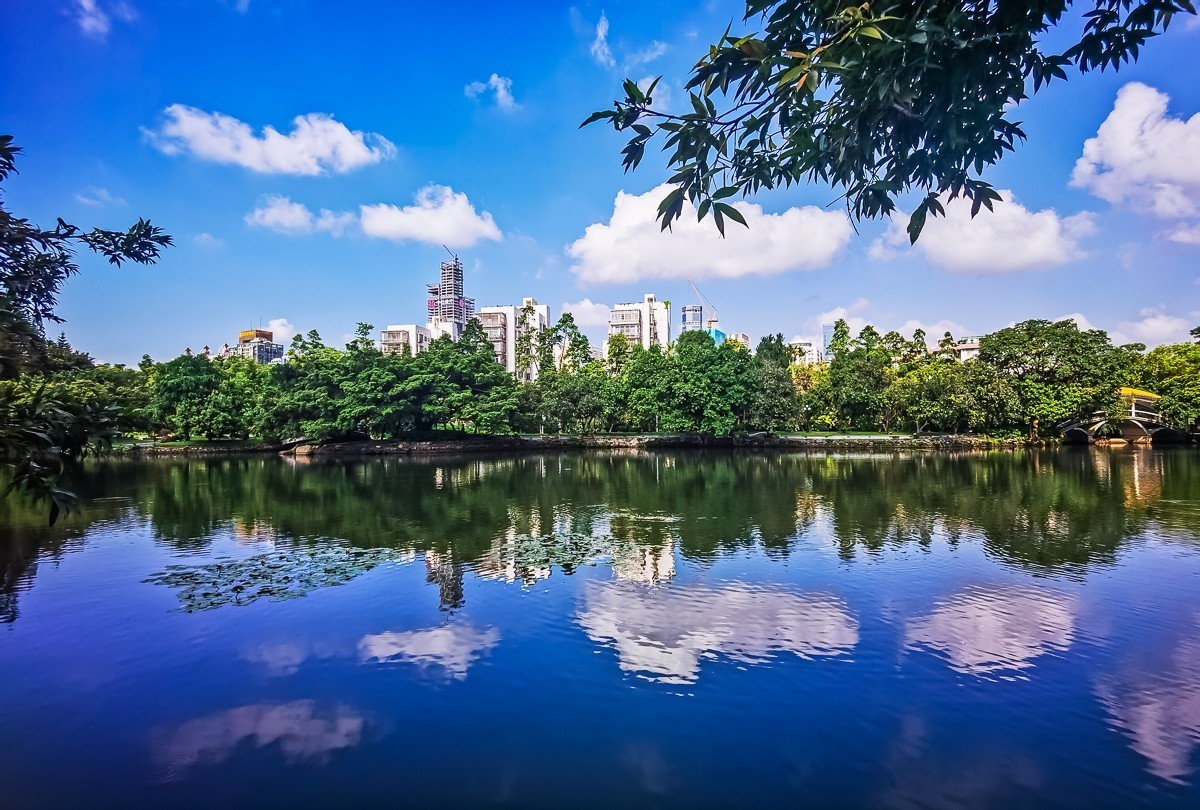 深圳荔枝公园掠影