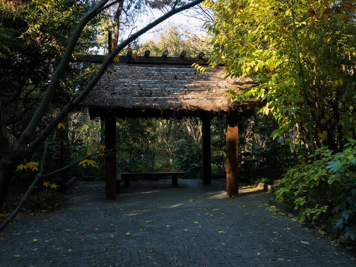 复兴岛公园（3）