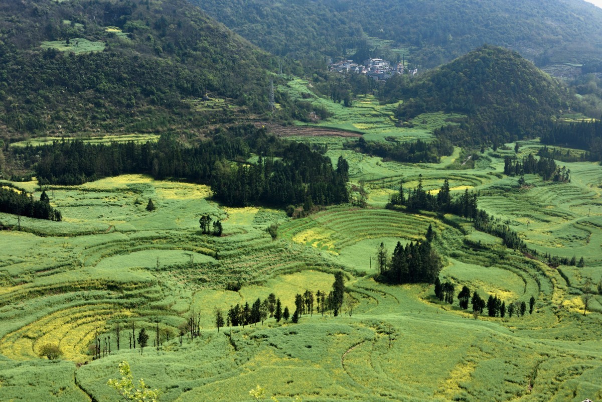 罗平螺丝田——贺好友一泓清泉荣任自然风景星空(中国)版主