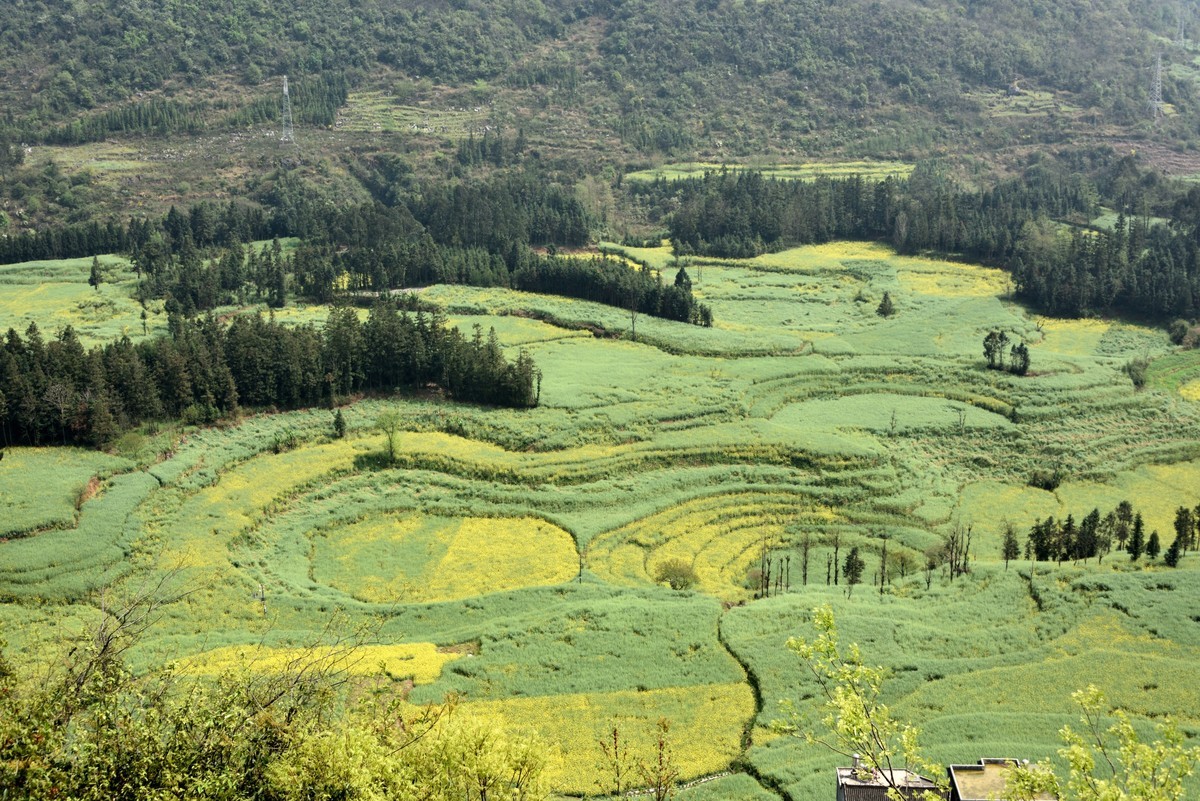 罗平螺丝田——贺好友一泓清泉荣任自然风景星空(中国)版主