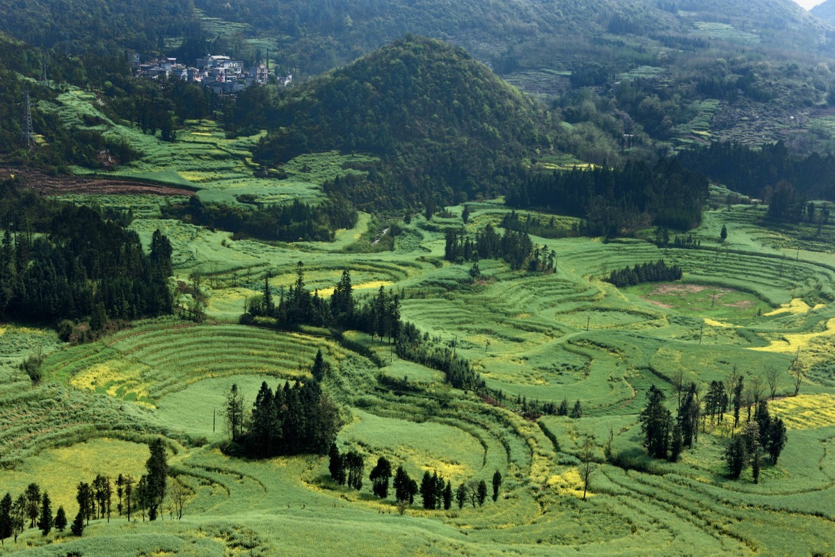 罗平螺丝田——贺好友一泓清泉荣任自然风景星空(中国)版主