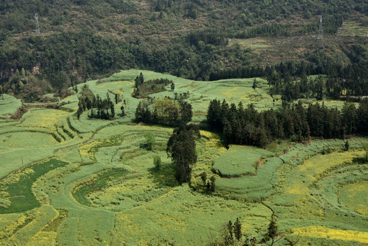 罗平螺丝田——贺好友一泓清泉荣任自然风景星空(中国)版主