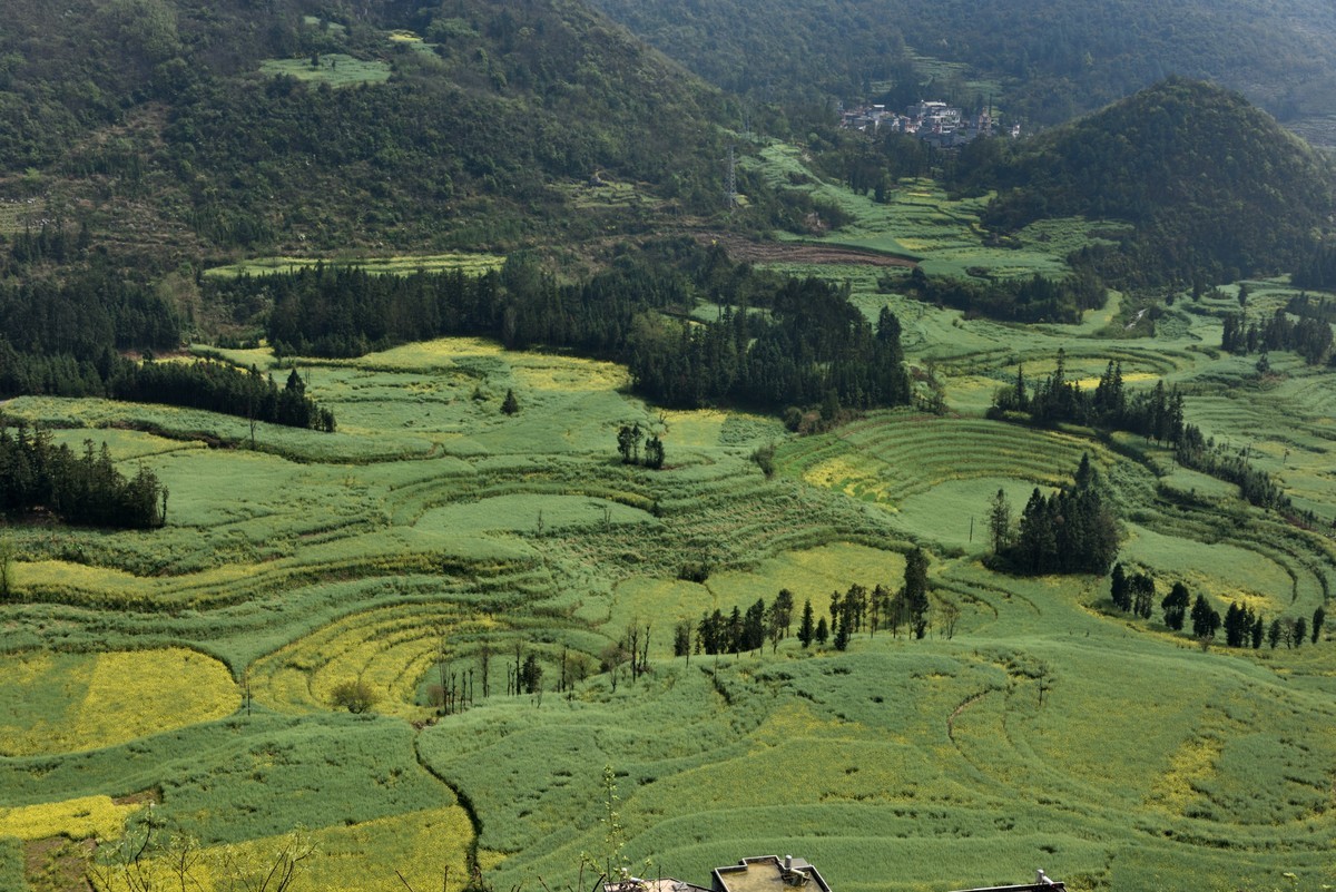 罗平螺丝田——贺好友一泓清泉荣任自然风景星空(中国)版主