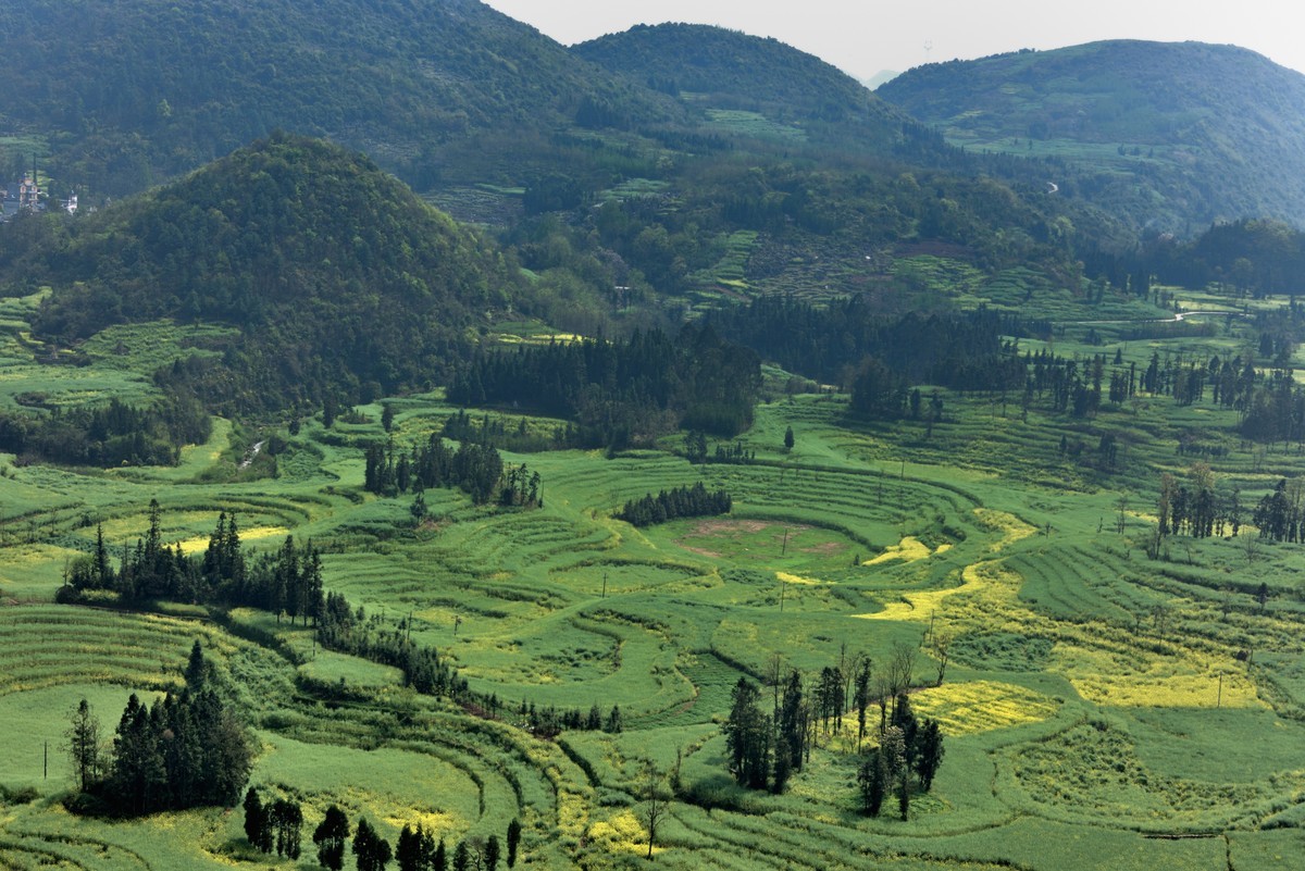 罗平螺丝田——贺好友一泓清泉荣任自然风景星空(中国)版主