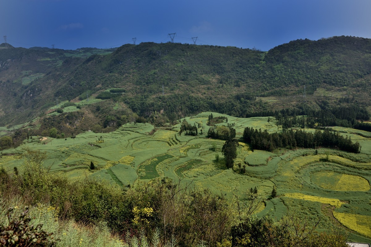 罗平螺丝田——贺好友一泓清泉荣任自然风景星空(中国)版主