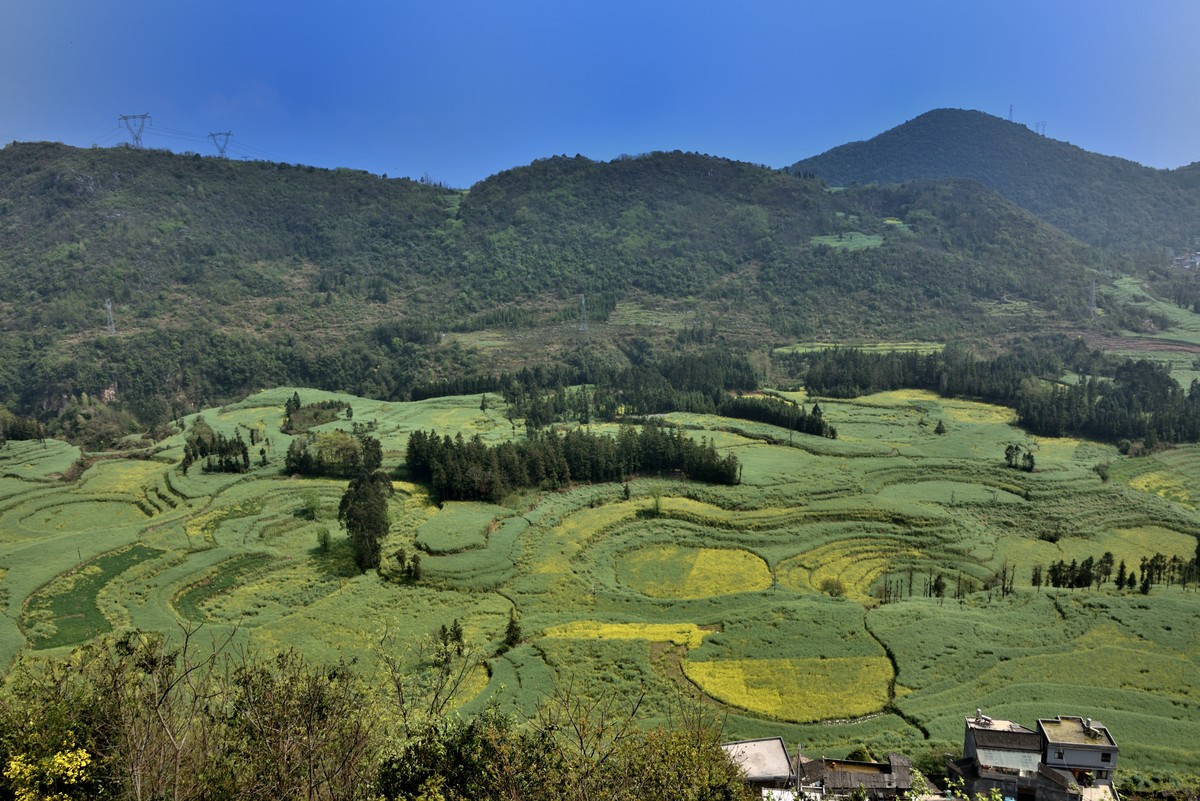 罗平螺丝田——贺好友一泓清泉荣任自然风景星空(中国)版主