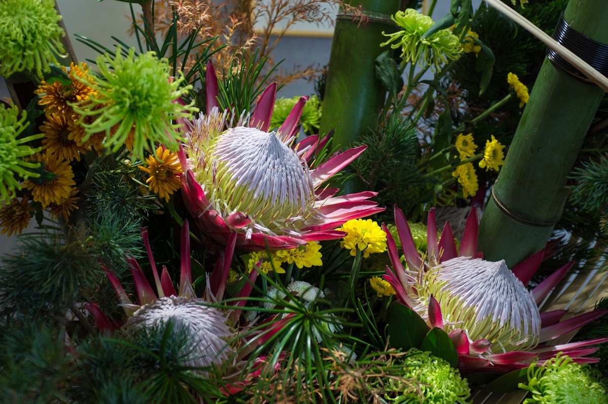 插花艺术（二）