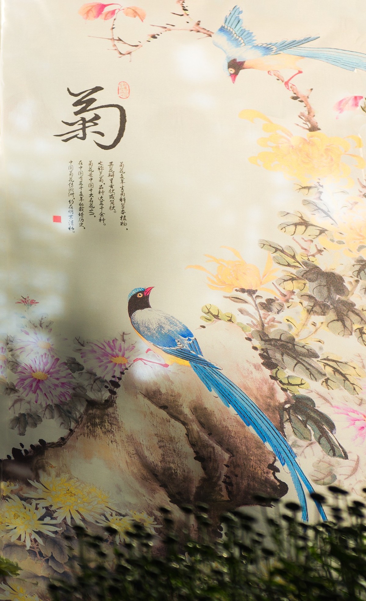 插花艺术（二）