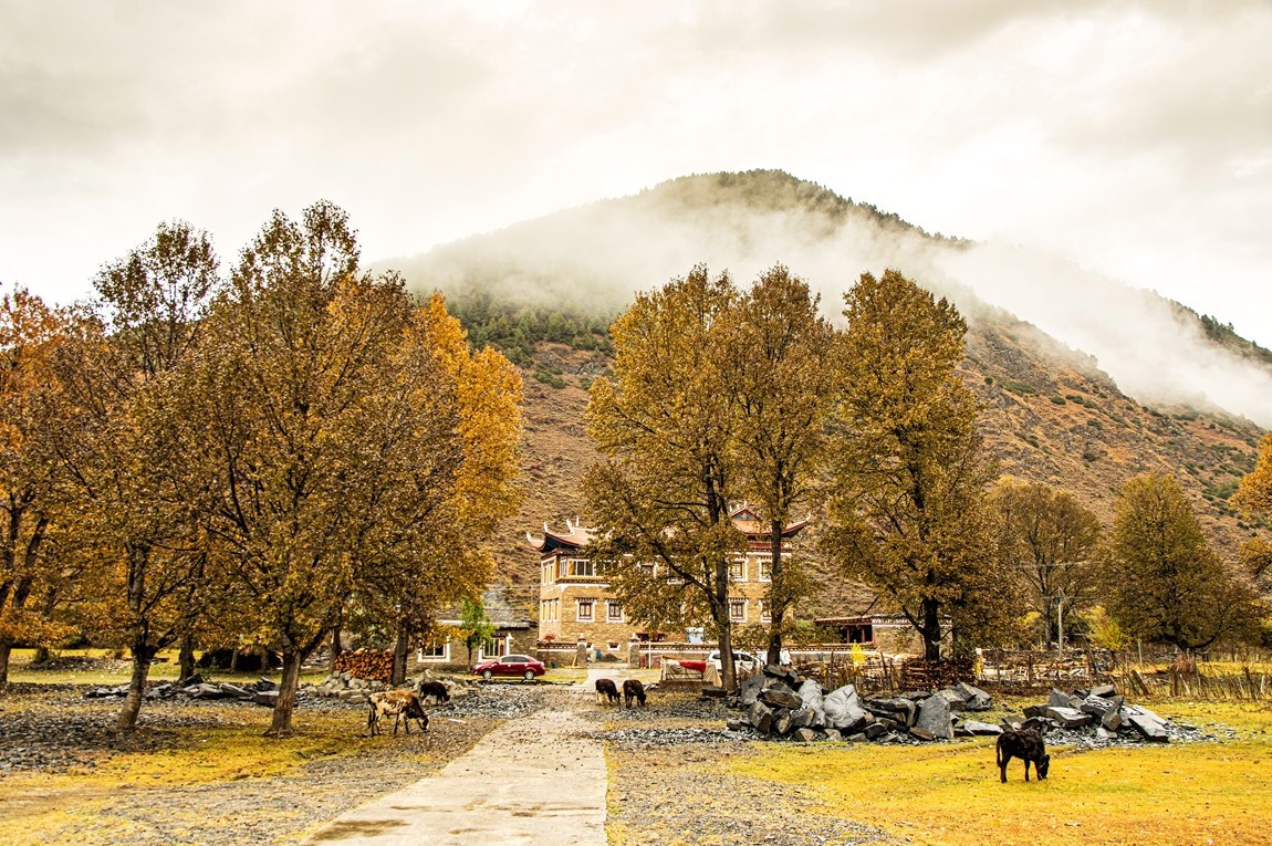 金秋川西--甲根坝【5】