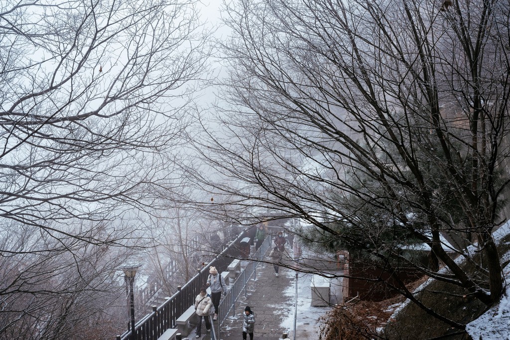 陕西渭南：雪中登华山北峰 看北国靓丽风光