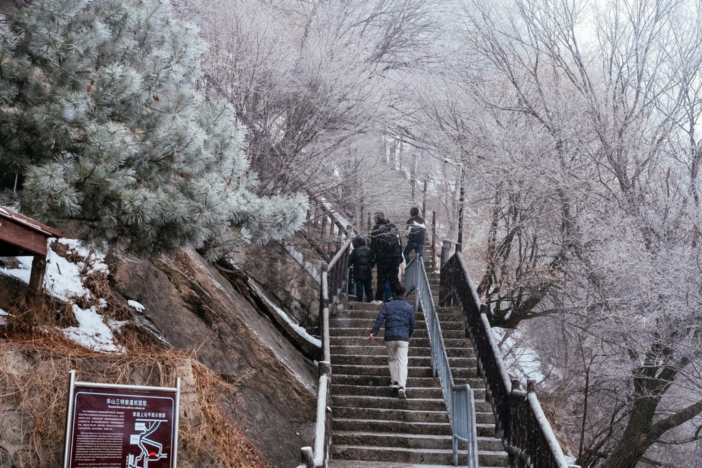 陕西渭南：雪中登华山北峰 看北国靓丽风光