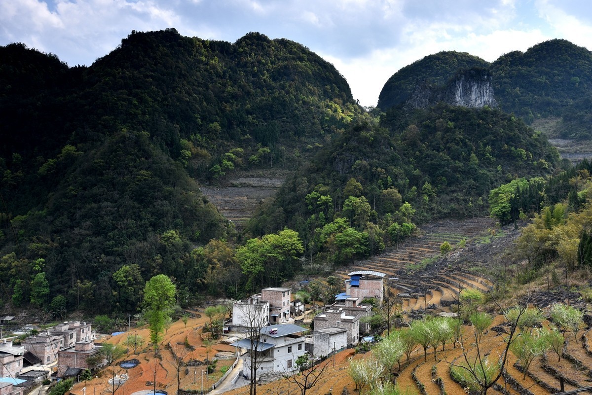广西巴马至凌云路途随拍【3】