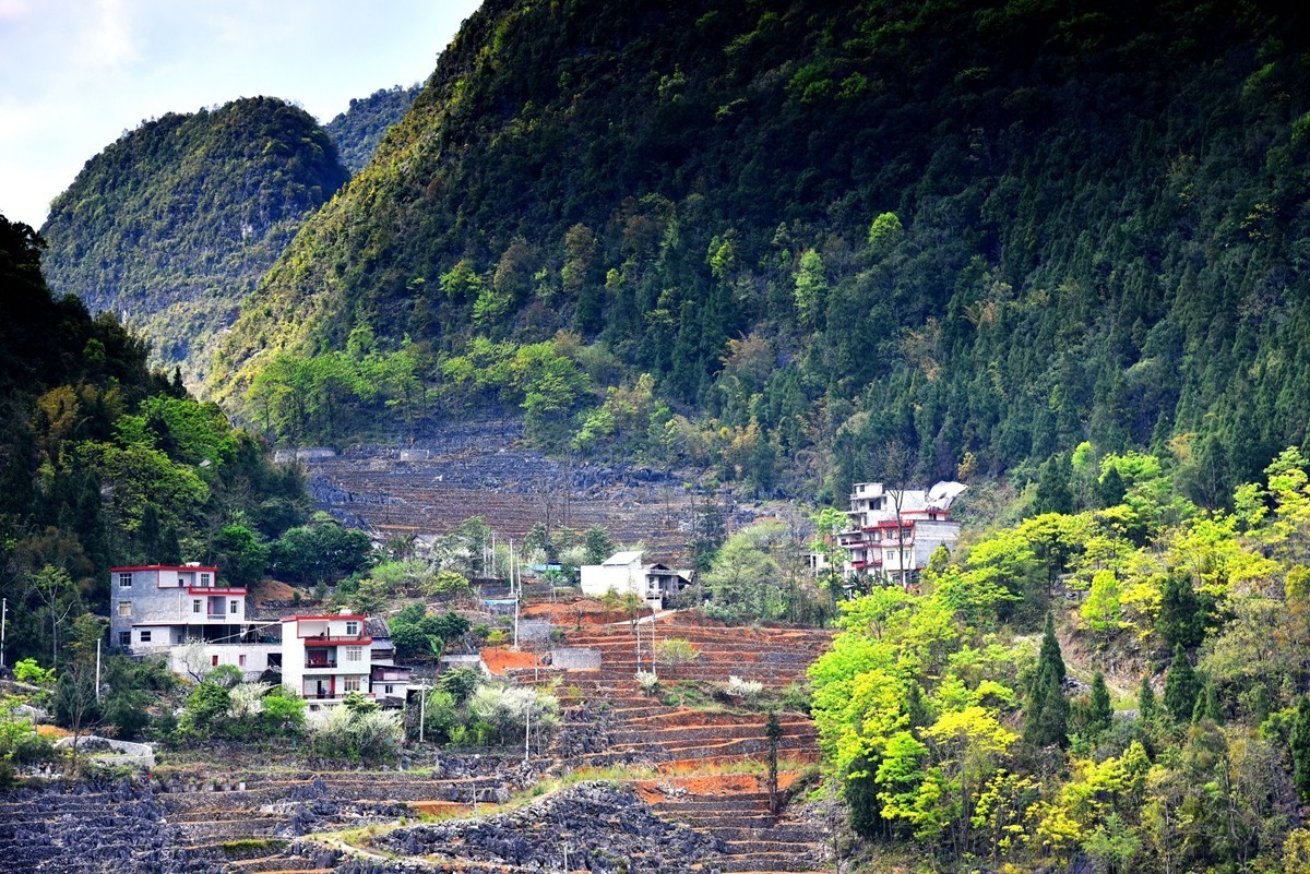 广西巴马至凌云路途随拍【3】