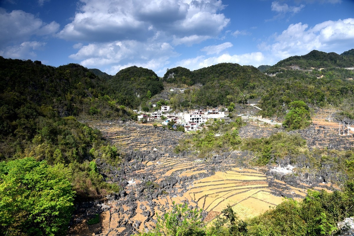 广西巴马至凌云路途随拍【3】