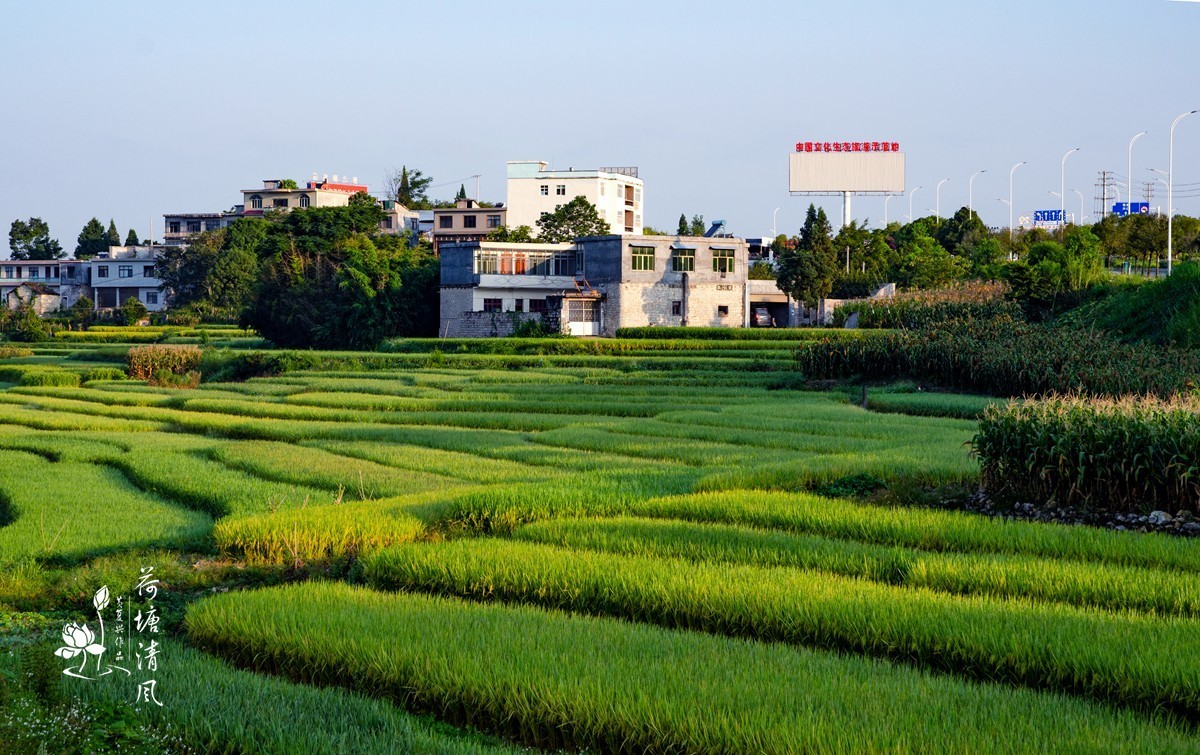 加油之城，美美安龙。美丽乡村，丰收在望。