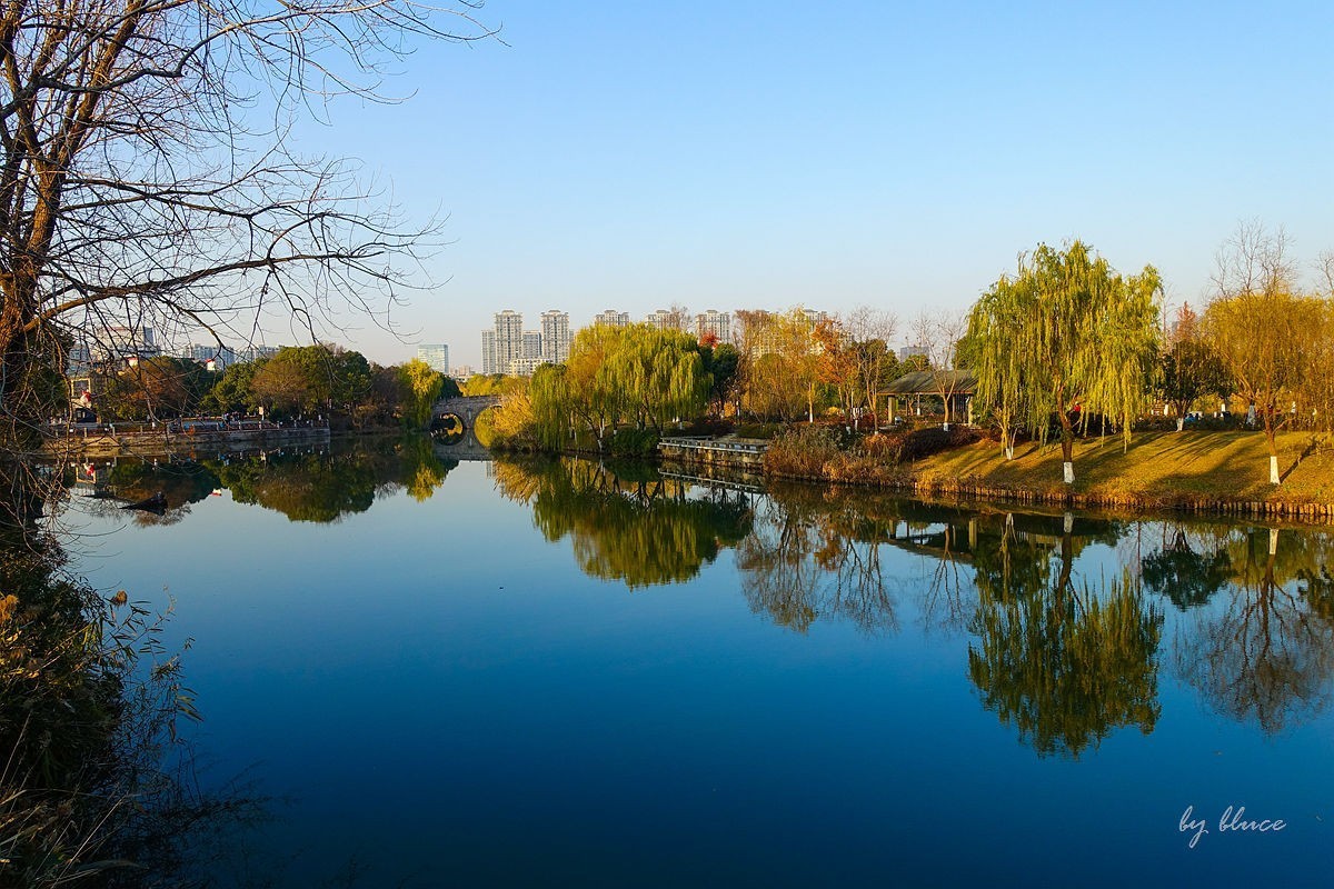 元旦游走白马湖公园