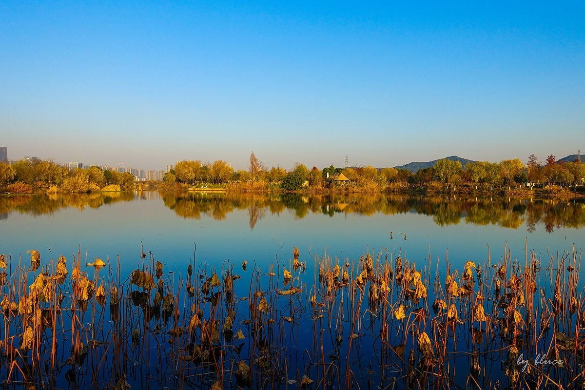 元旦游走白马湖公园