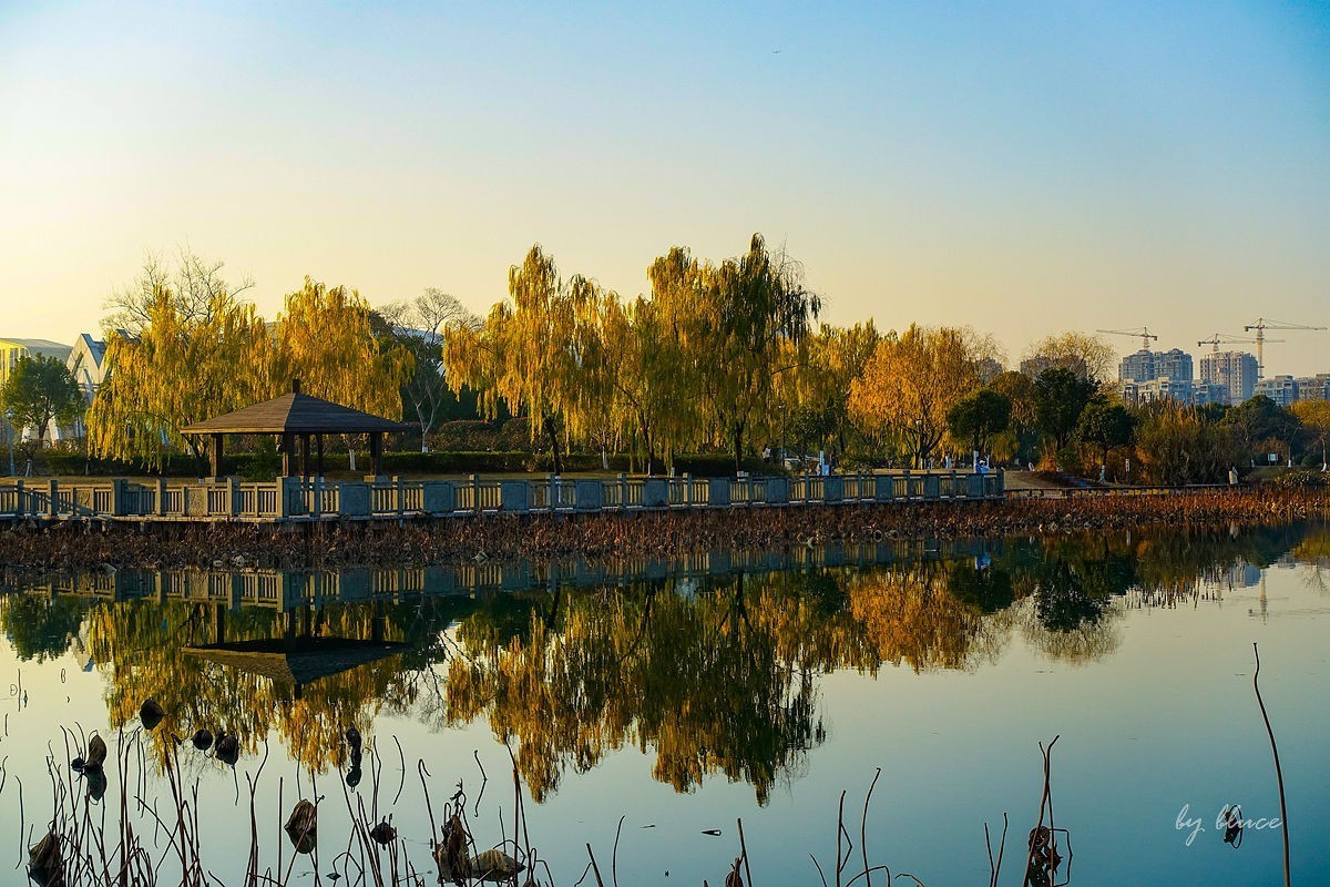 元旦游走白马湖公园