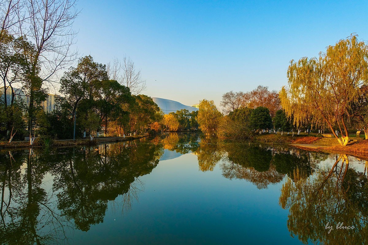 元旦游走白马湖公园