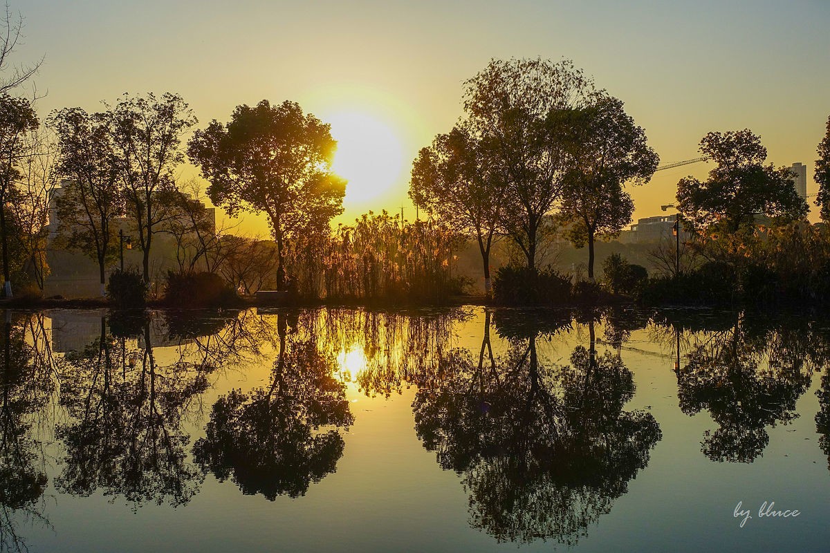 元旦游走白马湖公园