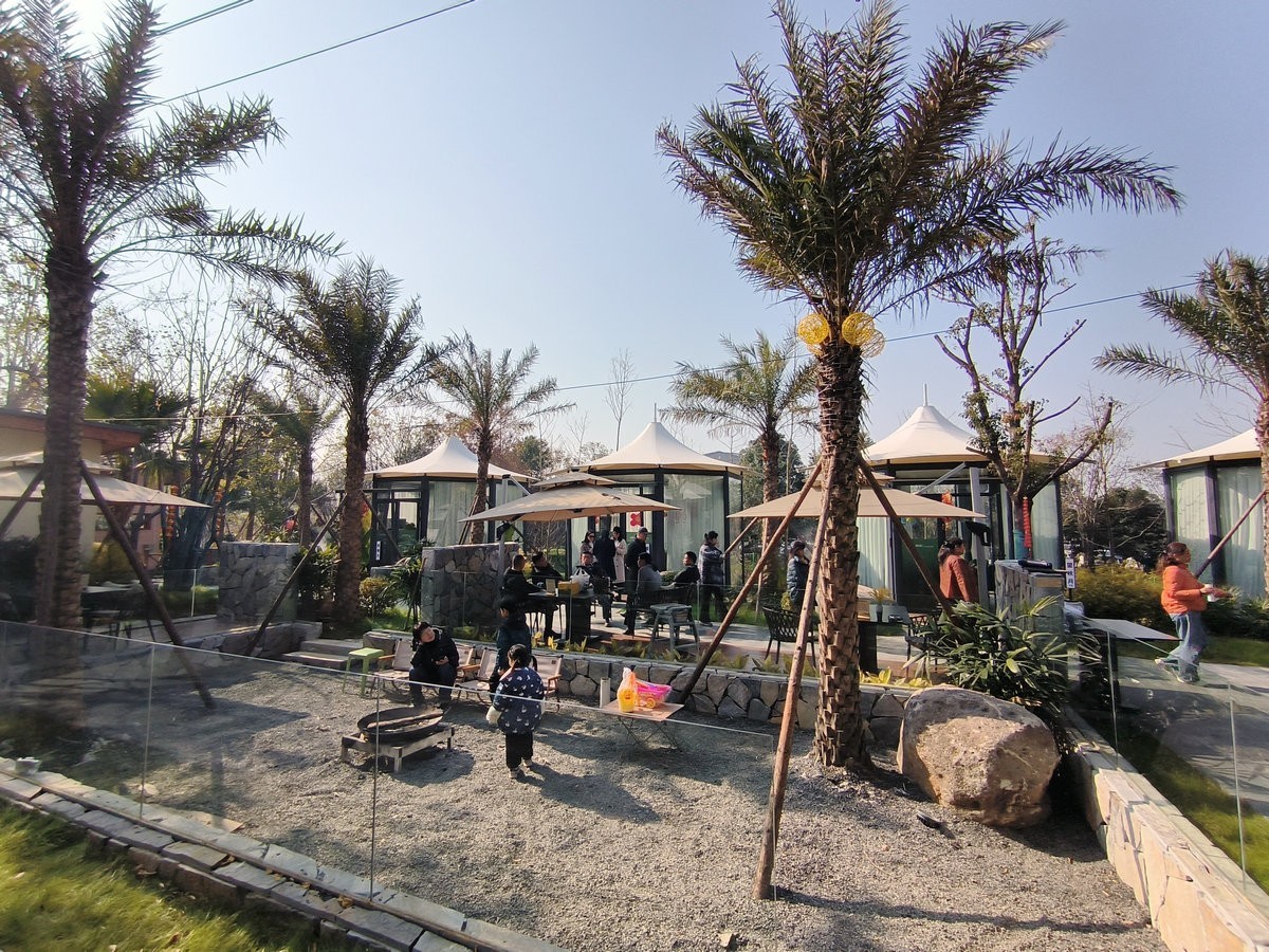 漫步星城 走街串巷（610）山野情趣