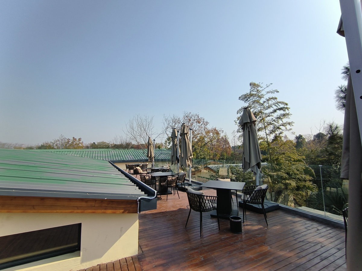 漫步星城 走街串巷（610）山野情趣