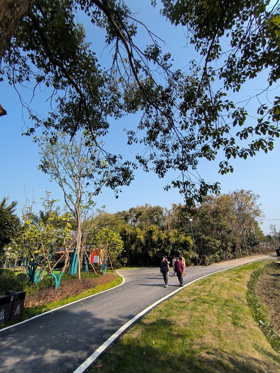 漫步星城 走街串巷（610）山野情趣