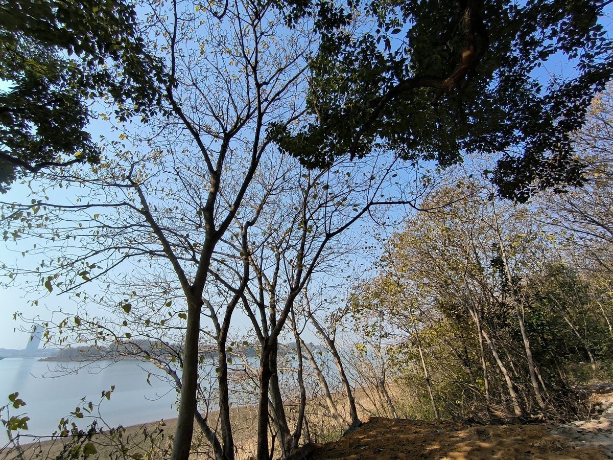 漫步星城 走街串巷（610）山野情趣