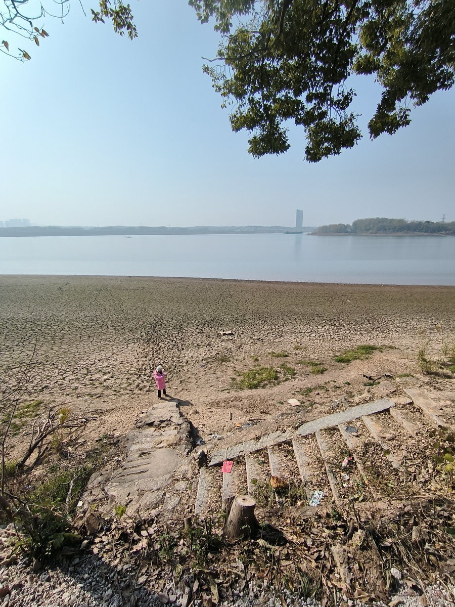 漫步星城 走街串巷（610）山野情趣