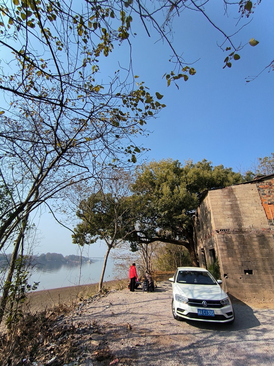 漫步星城 走街串巷（610）山野情趣