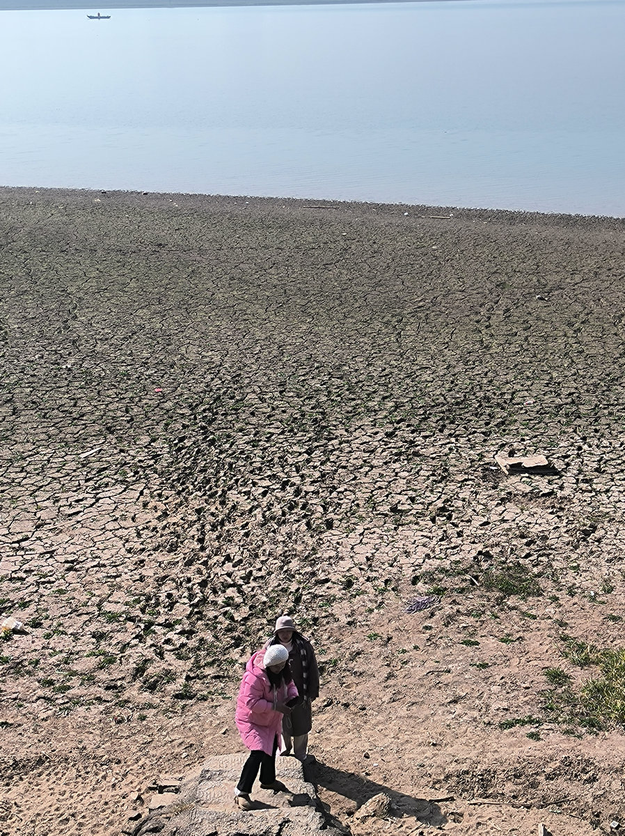 漫步星城 走街串巷（610）山野情趣