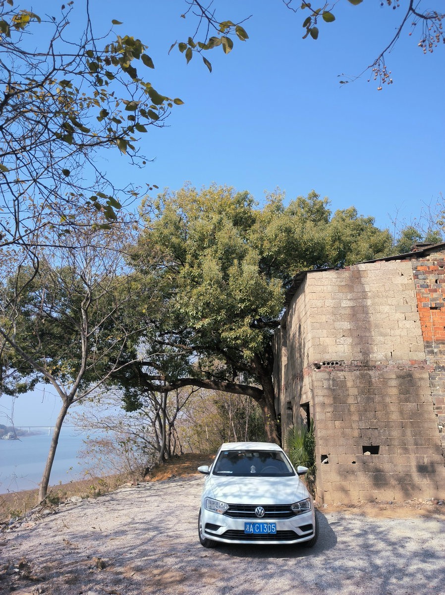 漫步星城 走街串巷（610）山野情趣