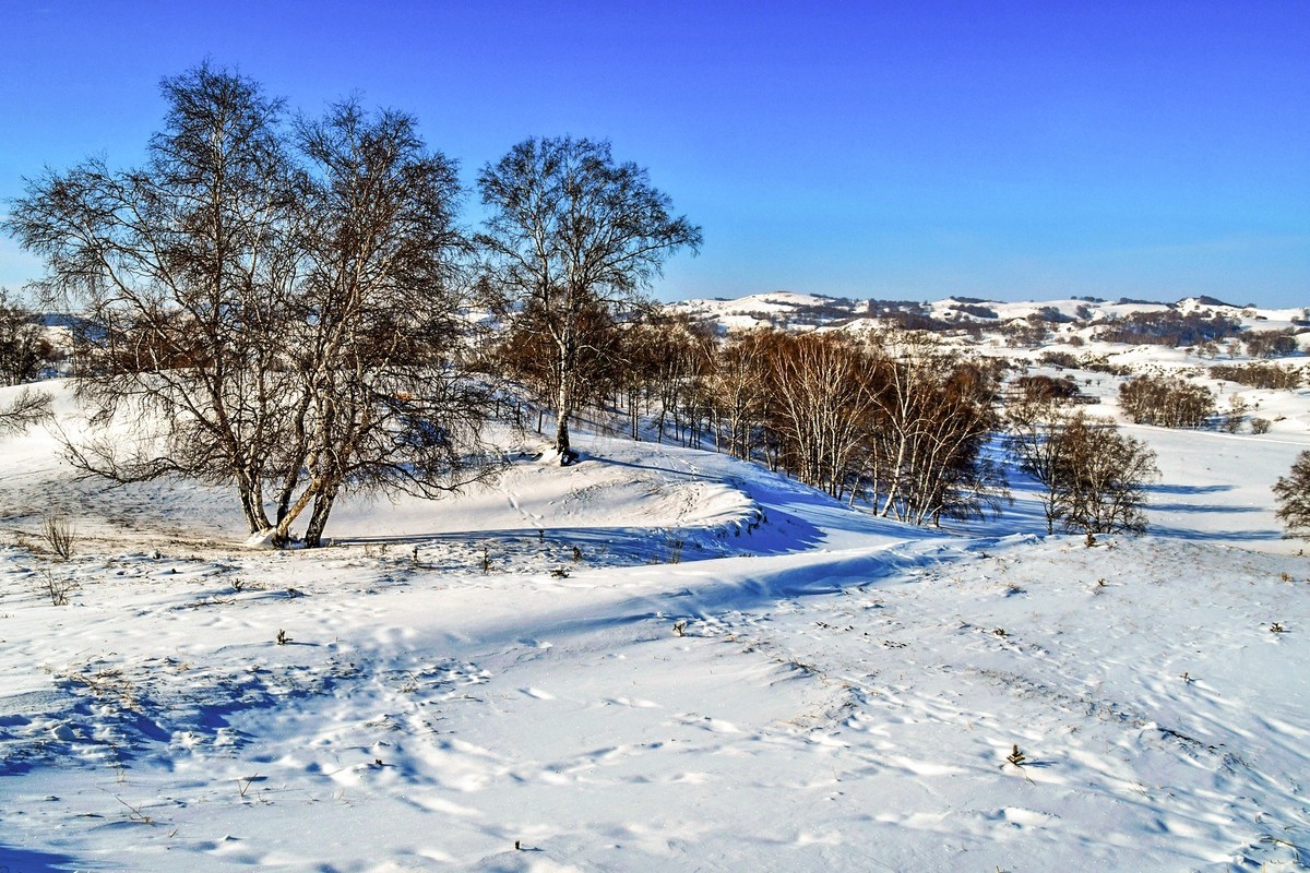 我只是把出去看到的随手记录下来（九十二）